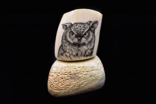 OWL SCRIMSHAW